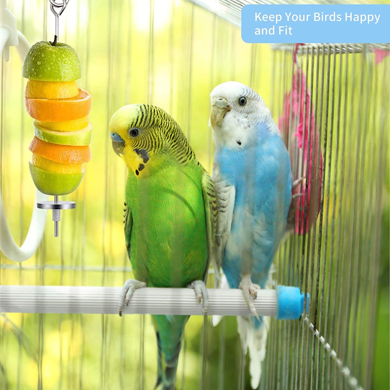 3Pcs Bird Food Holder