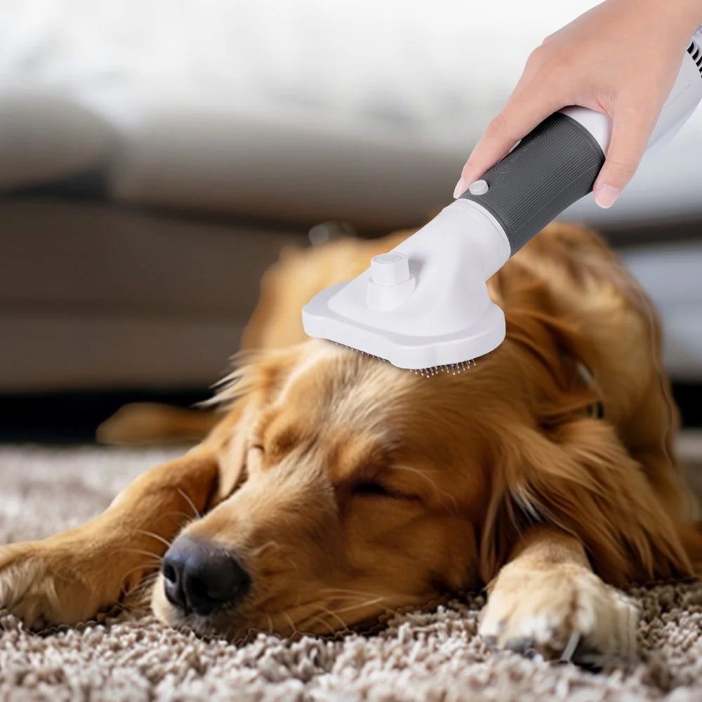 Pet Grooming Dryer for Small Dog and Cat